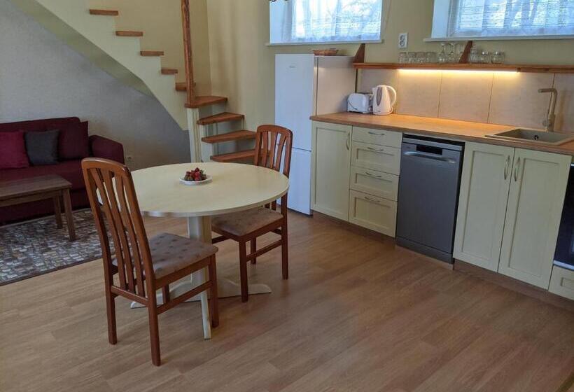 اتاق دوبلکس, Apartment 1
