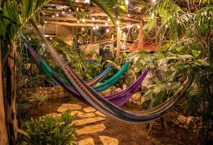 تختخواب در اتاق مشترک, Los Amigos Hostel