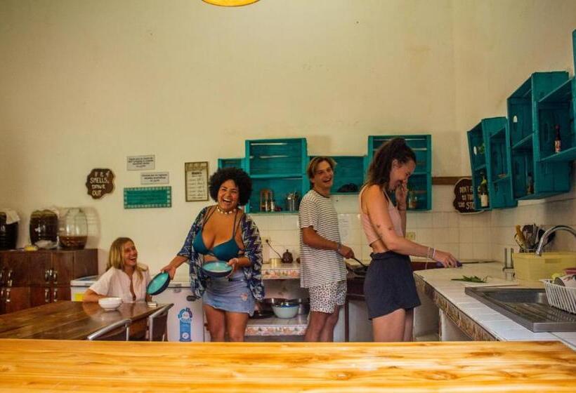 اتاق لوکس, Los Amigos Hostel
