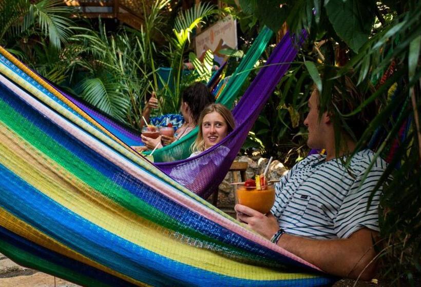 تختخواب در اتاق مشترک, Los Amigos Hostel