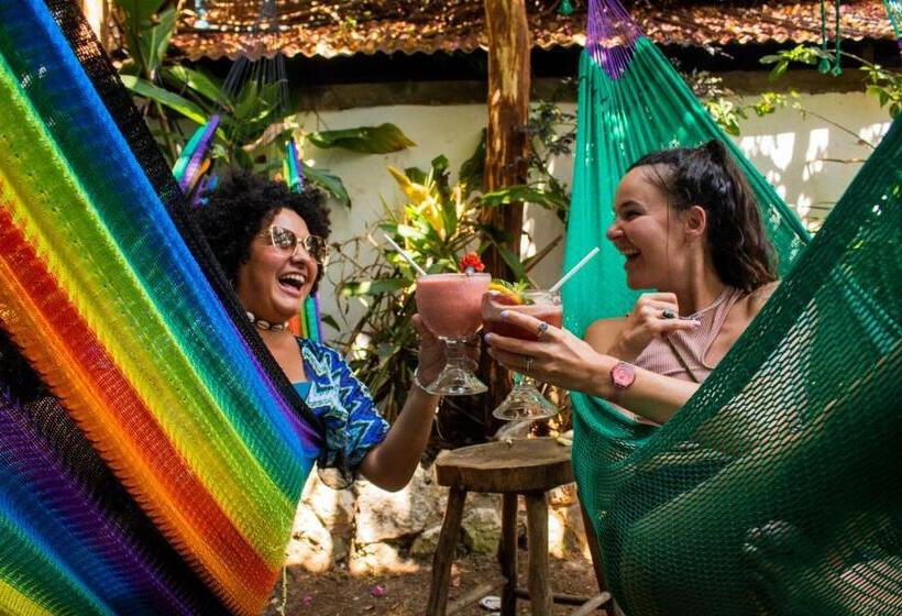 اتاق لوکس, Los Amigos Hostel