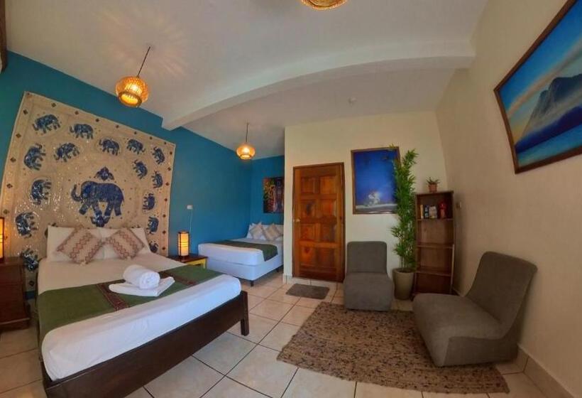 اتاق لوکس, Los Amigos Hostel