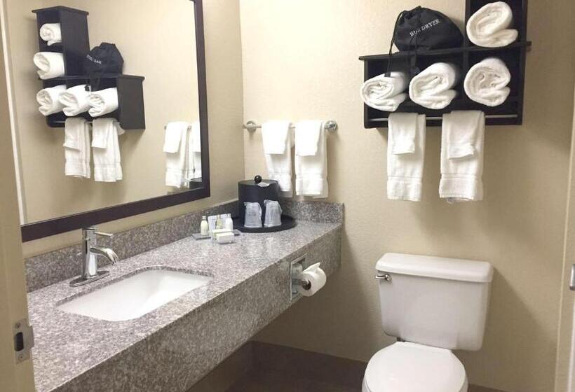 스위트 킹사이즈 침대, Best Western Plus Birmingham Inn & Suites