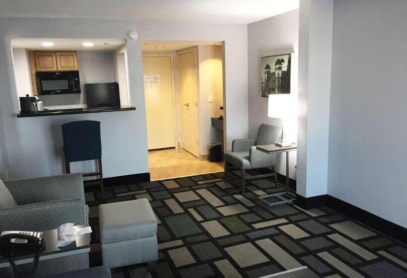 스위트 킹사이즈 침대, Best Western Plus Birmingham Inn & Suites