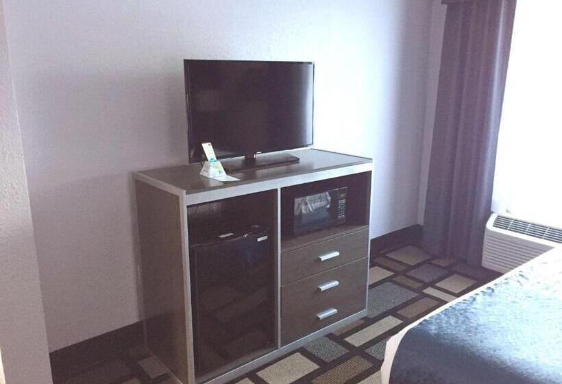 장애인을 위한 킹사이즈 침대 스탠다드 룸, Best Western Plus Birmingham Inn & Suites