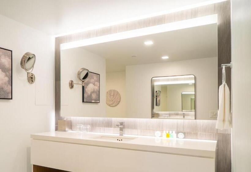 Номер Премиум, The Windsor Suites Philadelphia