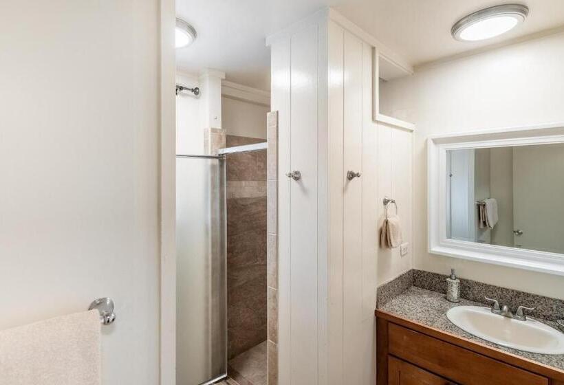 Апартаменты Deluxe 1 Спальня, Lahaina Wonderful Condos