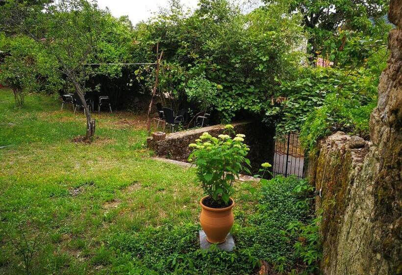 Номер Deluxe, El Jardin Del Conde