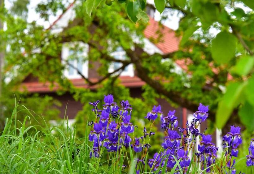 اتاق استاندارد با تراس, Sunny Beaver B&b