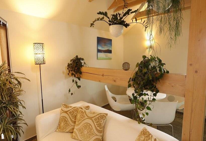 带1个卧室的高级公寓, Apart Hotel Jablonec