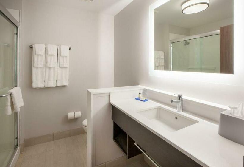 Стандартный Номер Кровать Кинг, Holiday Inn Express Durango Downtown  Animas River