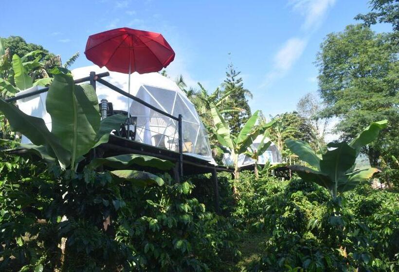 Standard Tent, Hostal Fisterra