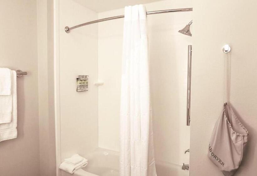 Номер Стандарт, Holiday Inn Express & Suites   Houston Iah   Beltway 8, An Ihg