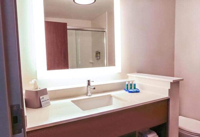 Люкс Кровать Кинг, Holiday Inn Express & Suites   Houston Iah   Beltway 8, An Ihg