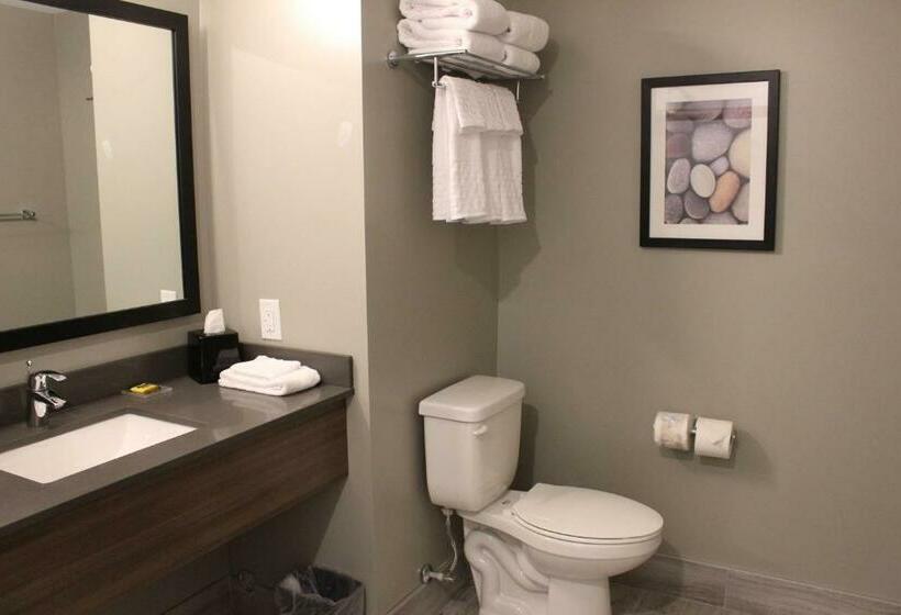 스위트 킹사이즈 침대, Best Western Plus Dauphin