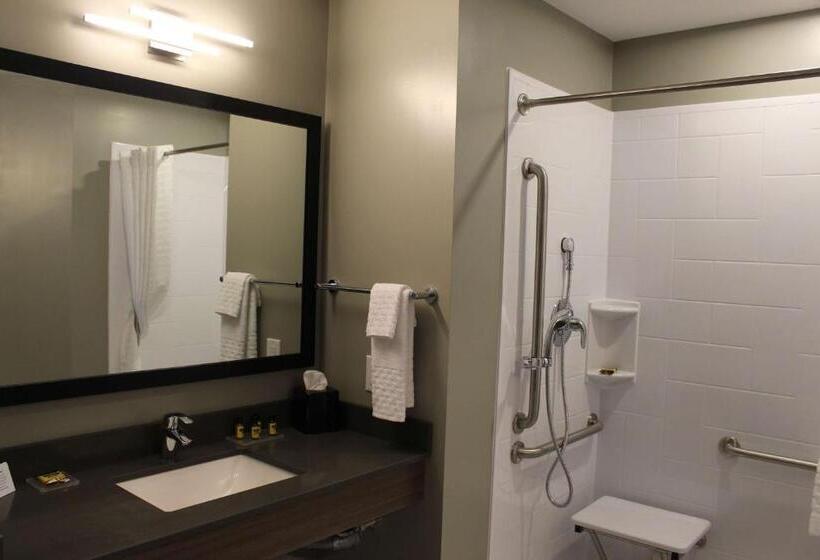 身障者適用キングサイズベッドルーム, Best Western Plus Dauphin