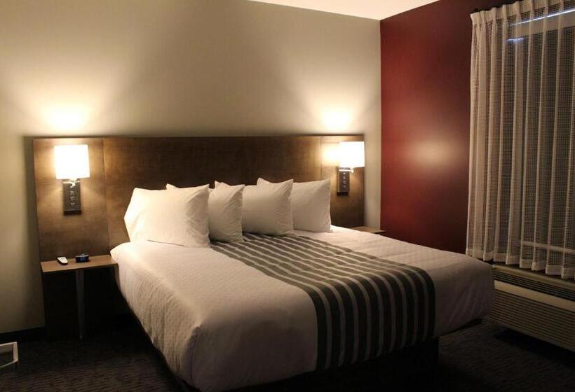 장애인을 위한 킹사이즈 침대 스탠다드 룸, Best Western Plus Dauphin