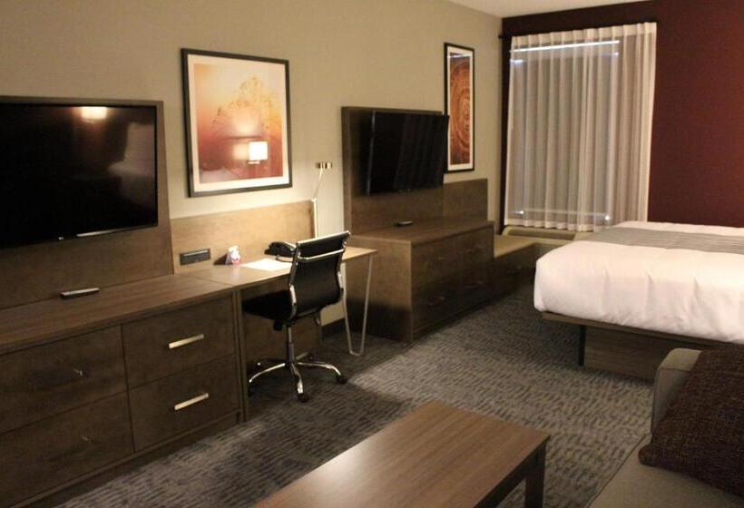 스탠다드 스튜디오 킹침대, Best Western Plus Dauphin