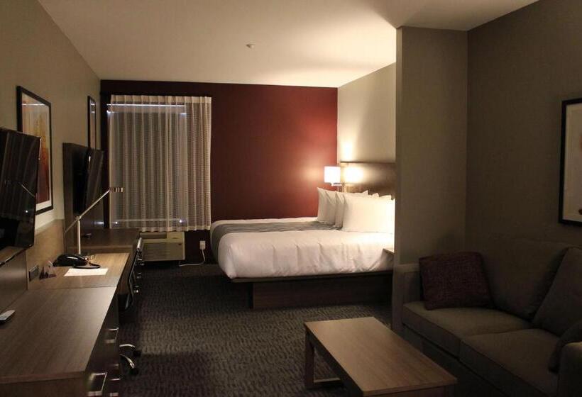 带大床的标准工作室, Best Western Plus Dauphin