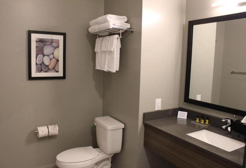 스위트 킹사이즈 침대, Best Western Plus Dauphin