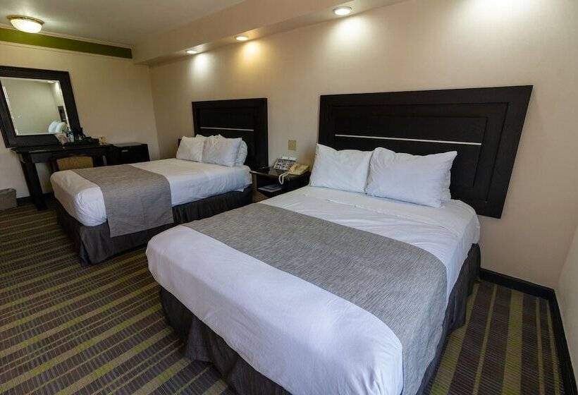２ダブルベッドのスタンダードルーム, Best Western Hotel Plaza Matamoros