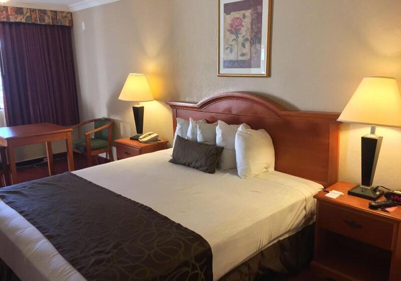 스탠다드 룸 킹사이즈 침대, Chula Vista Inn