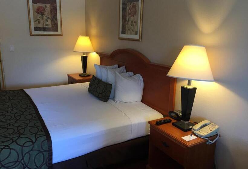 스탠다드 룸 킹사이즈 침대, Chula Vista Inn