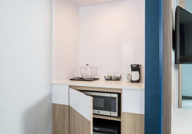 Студия Стандарт Кровать Куин, Springhill Suites St. Paul Downtown