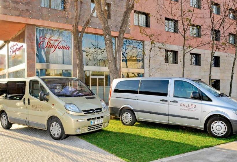 Номер Стандарт, Salles Ciutat Del Prat Barcelona Airport
