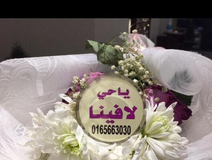 آپارتمان لوکس 1 خوابه, لافينا حائل للاجنحة الفندقية