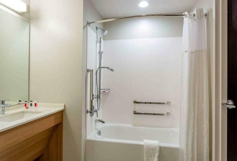 Номер Стандарт Адаптированный для Инвалидов, Microtel Inn Suites By Wyndham South Hill