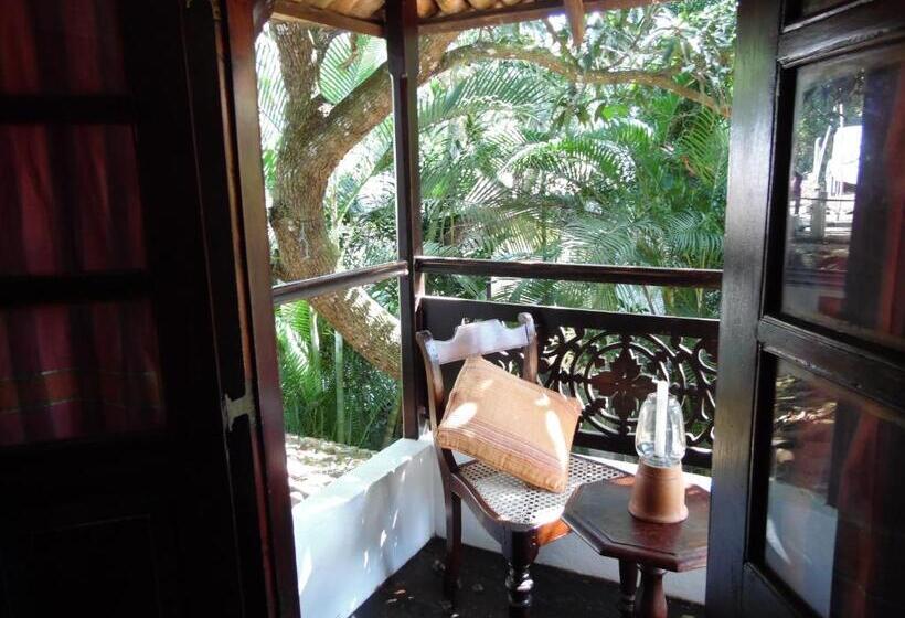 Quarto Triplo Deluxe, The Dream House