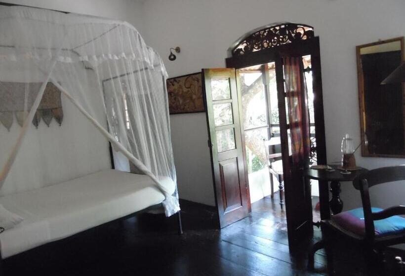 Quarto Triplo Deluxe, The Dream House