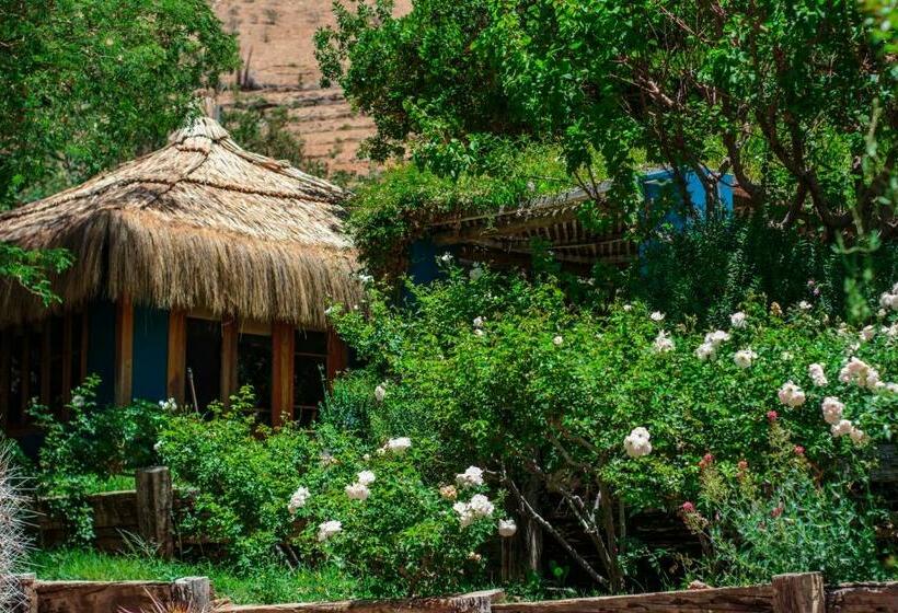 Бунгало Стандарт, Refugio Misterios Del Elqui