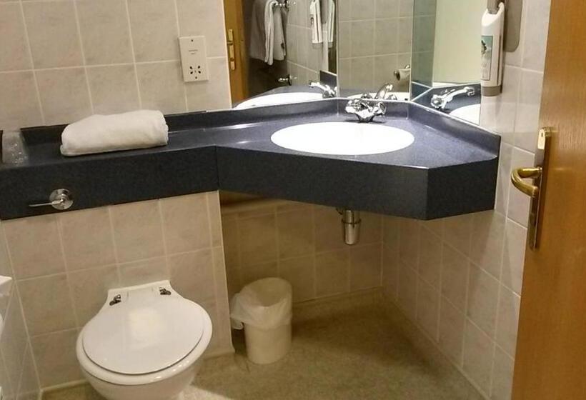 Номер Стандарт, Ibis Bradford Shipley