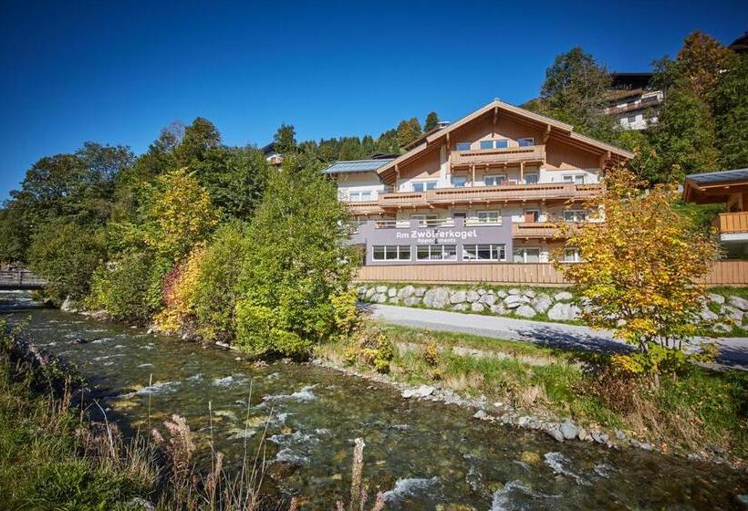 Апартаменты 1 Спальня с Видом, Am Zwölferkogel Appartements