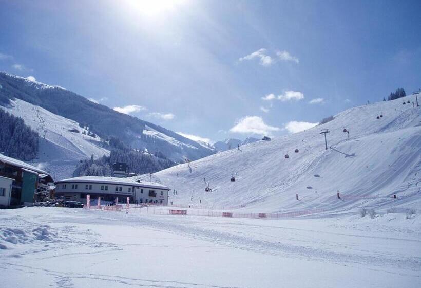 Апартаменты 1 Спальня, Am Zwölferkogel Appartements