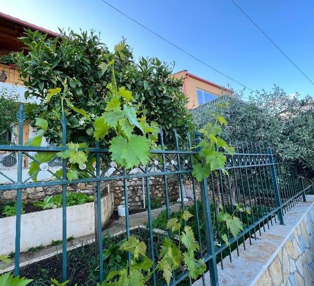 Номер Стандарт, Tzavelitiko Home