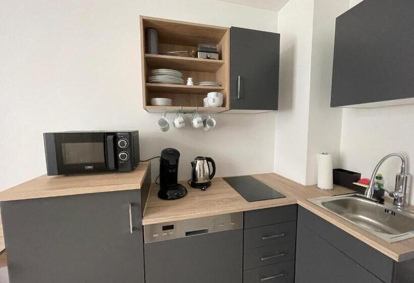 شقة غرفة واحدة, Pension Altstadt