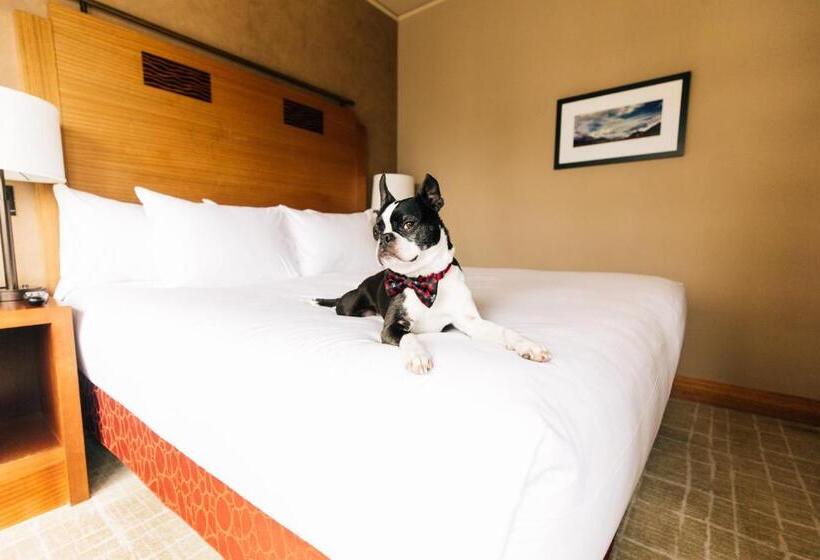 キングサイズベッドのスタンダードルーム, Grand Hyatt Seattle