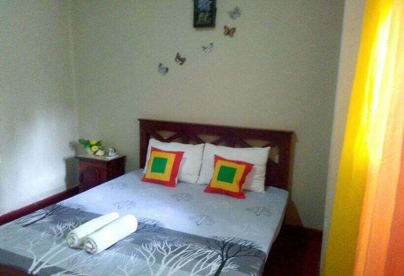 اتاق استاندارد, Osheen Family Guest House