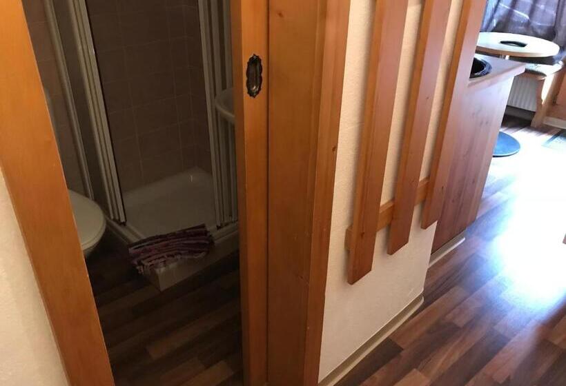 Студио Стандарт с Балконом, B&b Hotel & Appartements Chasa Valär