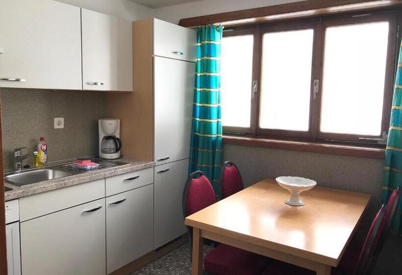 Семейные Апартаменты, B&b Hotel & Appartements Chasa Valär