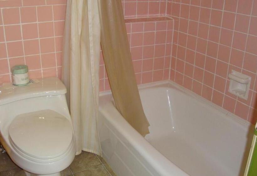 Номер Стандарт 2 Двуспальные Кровати, Pinconning Trail Inn Motel