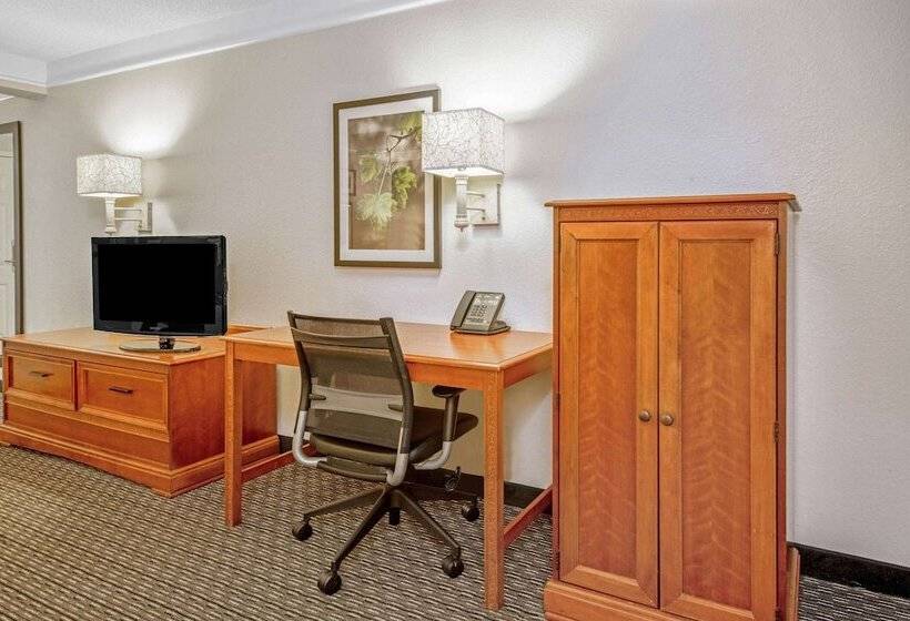 Deluxe Szoba, La Quinta By Wyndham San Antonio Airport