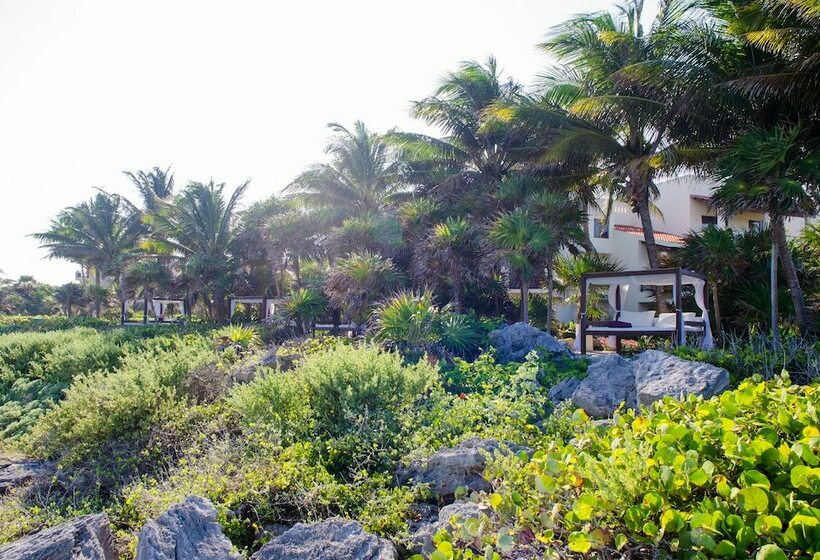 ロイヤルスイート, Occidental At Xcaret Destination   All Inclusive