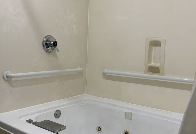 اتاق استاندارد با 2 تخت دوبل, Quality Inn & Suites University Airport