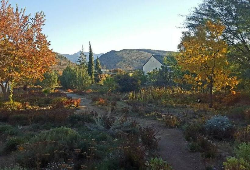 Номер Стандарт Вид на Сад, Klaarstroom Guest House