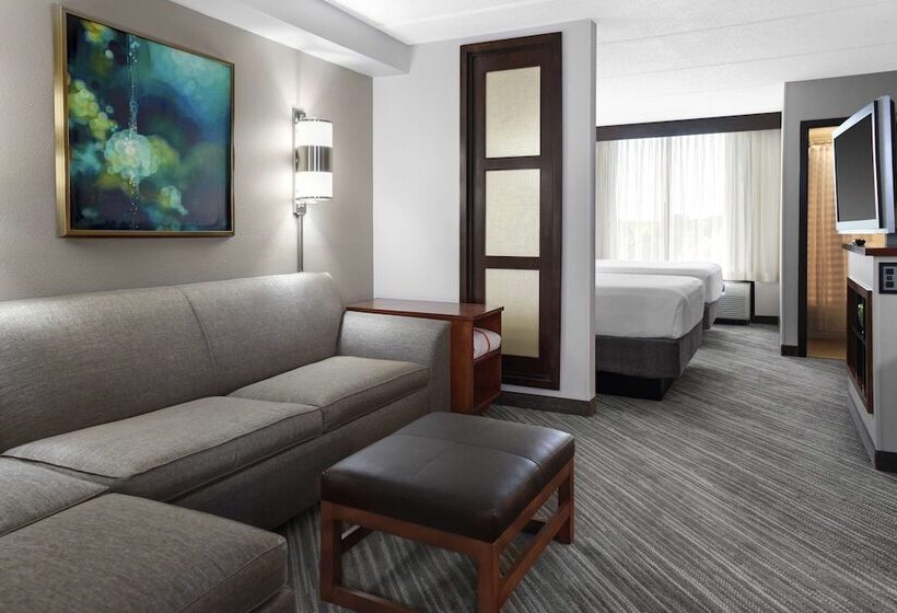 스탠다드 룸 더블 침대 2개, Hyatt Place Mystic