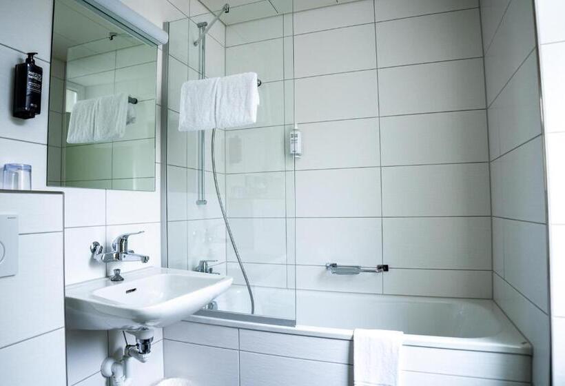 带大床的标准间, Ibis Styles Luzern